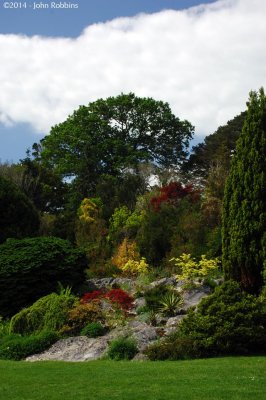 Muckross Gardens