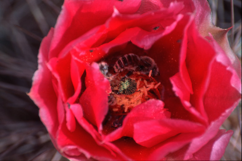 02051325.jpg