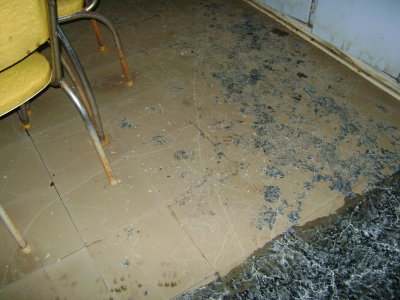 DSC00168.JPG