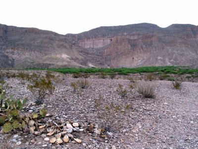 boquillas canyon.jpg