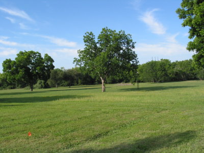 Flora and Fauna of the Meadow 001.jpg