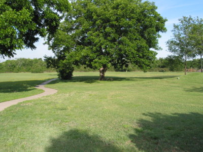 Flora and Fauna of the Meadow 002.jpg
