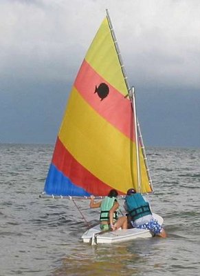 moon palace sunfish 3.JPG