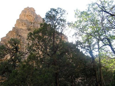 IMG_0003.JPG