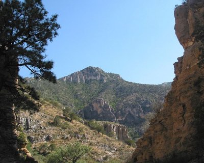 IMG_0004.JPG