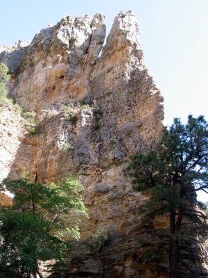 IMG_0005.JPG