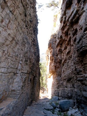 IMG_0006.JPG