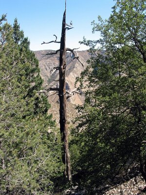 IMG_0011.JPG