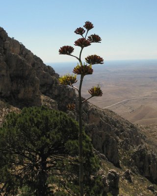 IMG_0017.JPG