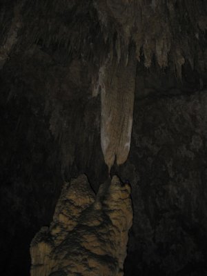 IMG_0059.JPG