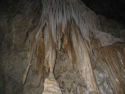 IMG_0070.JPG