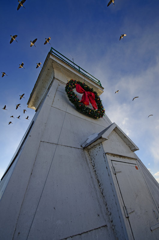 Lighthouse and Canada Geese.jpg