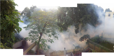 Mosquito Spraying, Nizamuddin East, New Delhi  (9 Nov 2012)