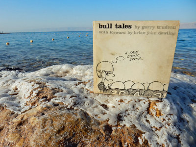 Bull Tales visits the Dead Sea (2015)