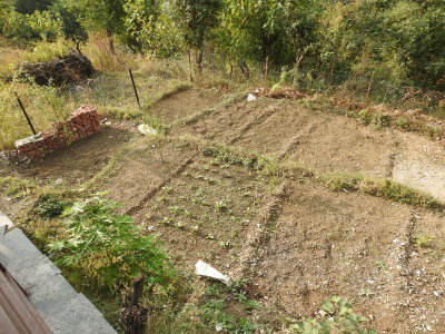Lower garden