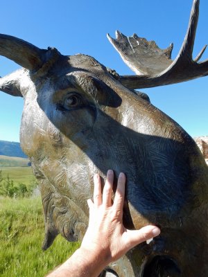 Moose sculpture, Wyoming