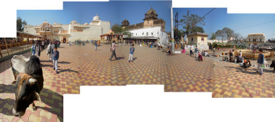 Rahil in Mandir Square Orchha (31 Jan 2015)