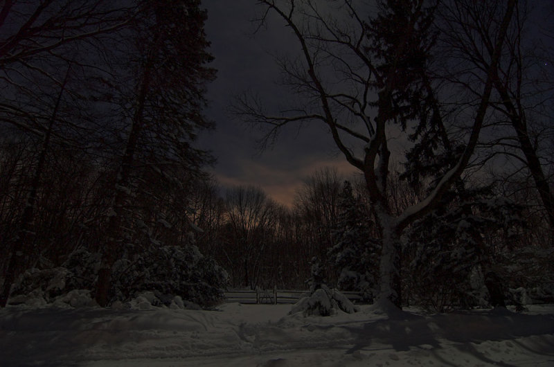 NIght 1-23-16A.jpg