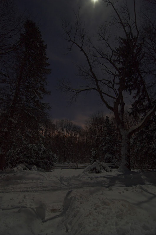 NIght 1-23-16B.jpg