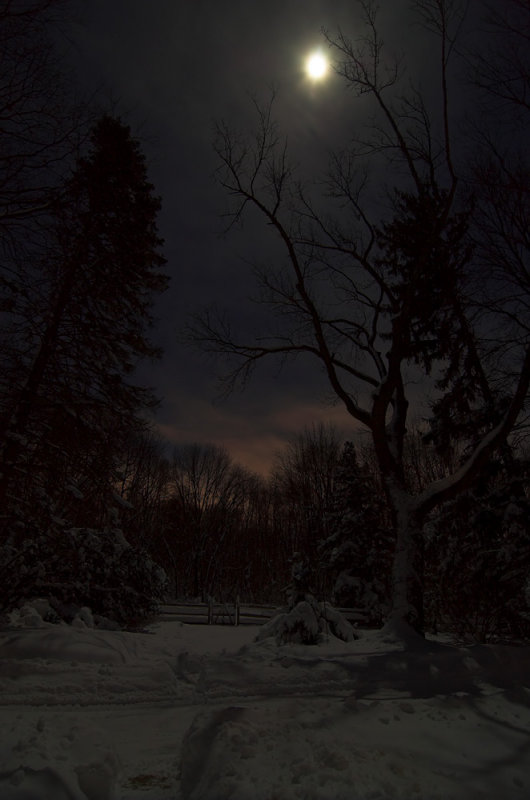 NIght 1-23-16C.jpg