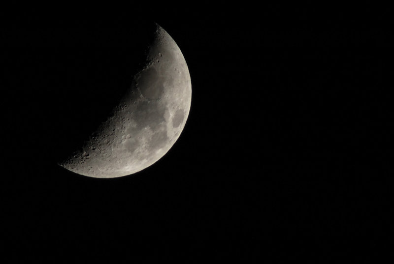 DSC_2038.jpg