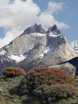 Torres del Paine