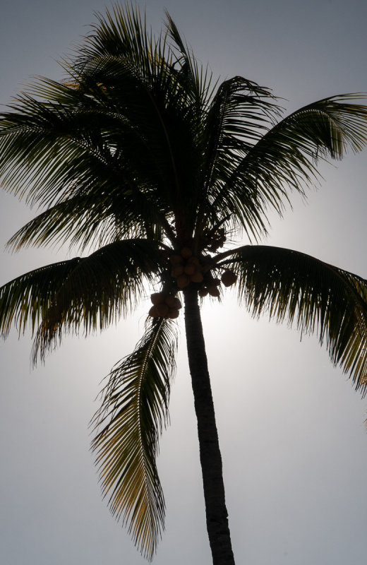 DSC_4776.jpg