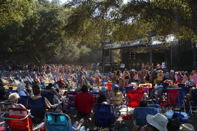 Live Oak Saturday afternoon