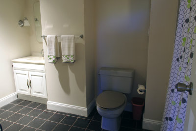 IMGP8529 - basement bathroom.jpg
