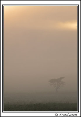 Early-Morning-in-Nakuru-12847.jpg