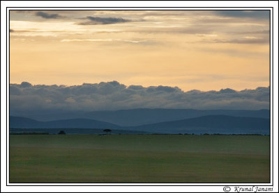 Maasai-Mara-Plains-13298.jpg