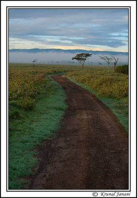 Morning-at-Lake-Nakuru-vertical-12852.jpg