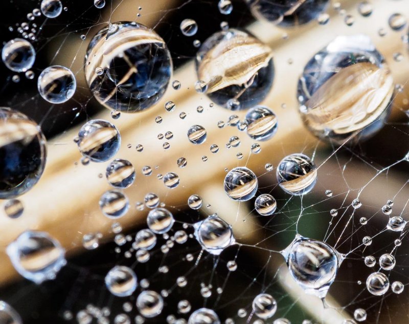 Drops of Jupiter