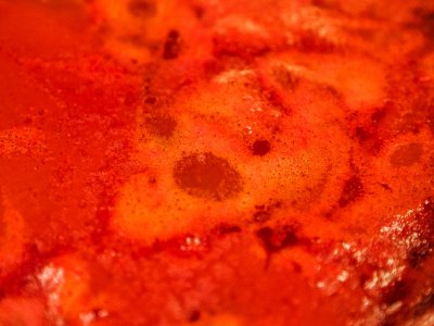 Space Alien in the Tomato Sauce