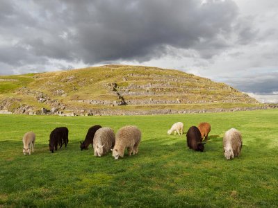 Saksayhuaman