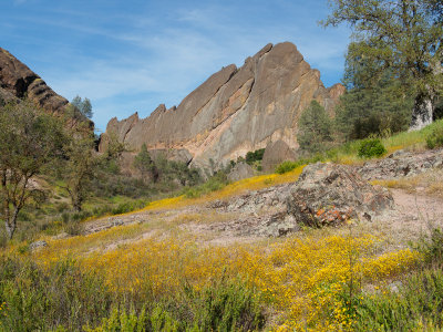 Pinnacles National Park, April 2016