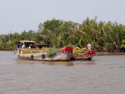 Coconut boats