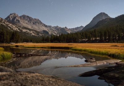 Hutchinson Meadow by Moonlight