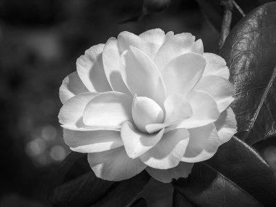 g9/89/612589/3/164922427.loXpG74n.jpg