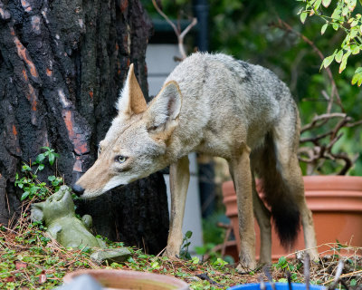 IMG_7472w.jpg