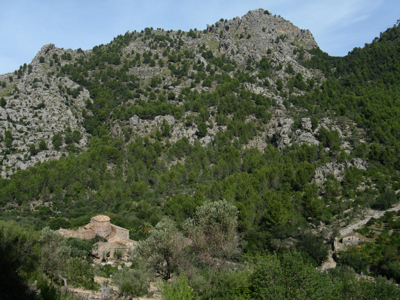 Soller