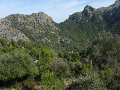 Soller