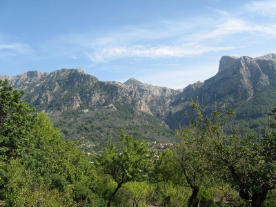 Soller