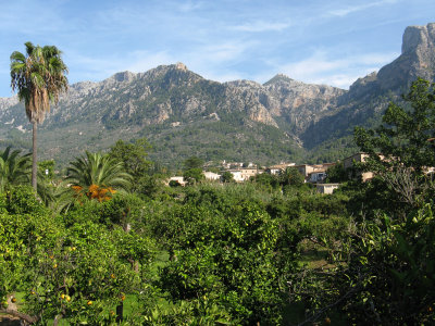 Soller