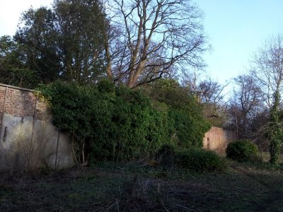 Cammo Walled Garden