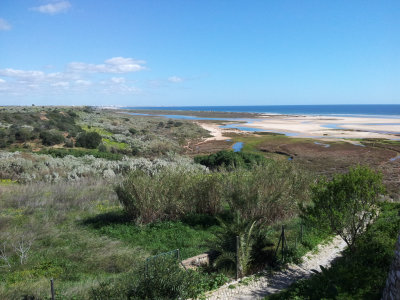 Tavira