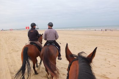 on the beach