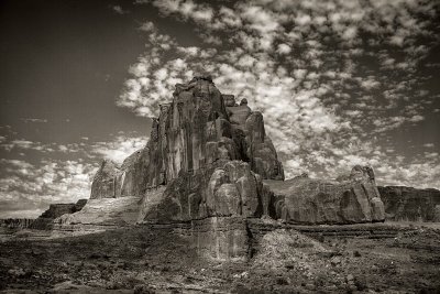 IMG_6499bwweb.jpg
