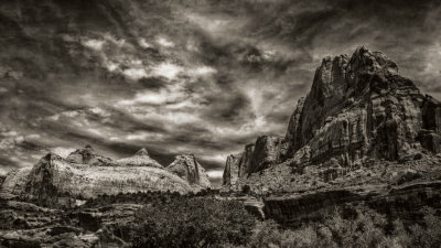 IMG_8181bwsm.jpg