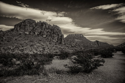  Big Bend, May, 2015 